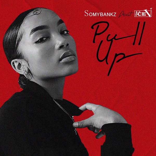 Somybankz - Pull Up (feat. Ice V)